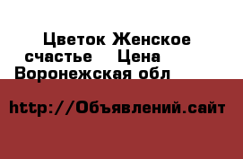 Цветок Женское счастье. › Цена ­ 200 - Воронежская обл.  »    